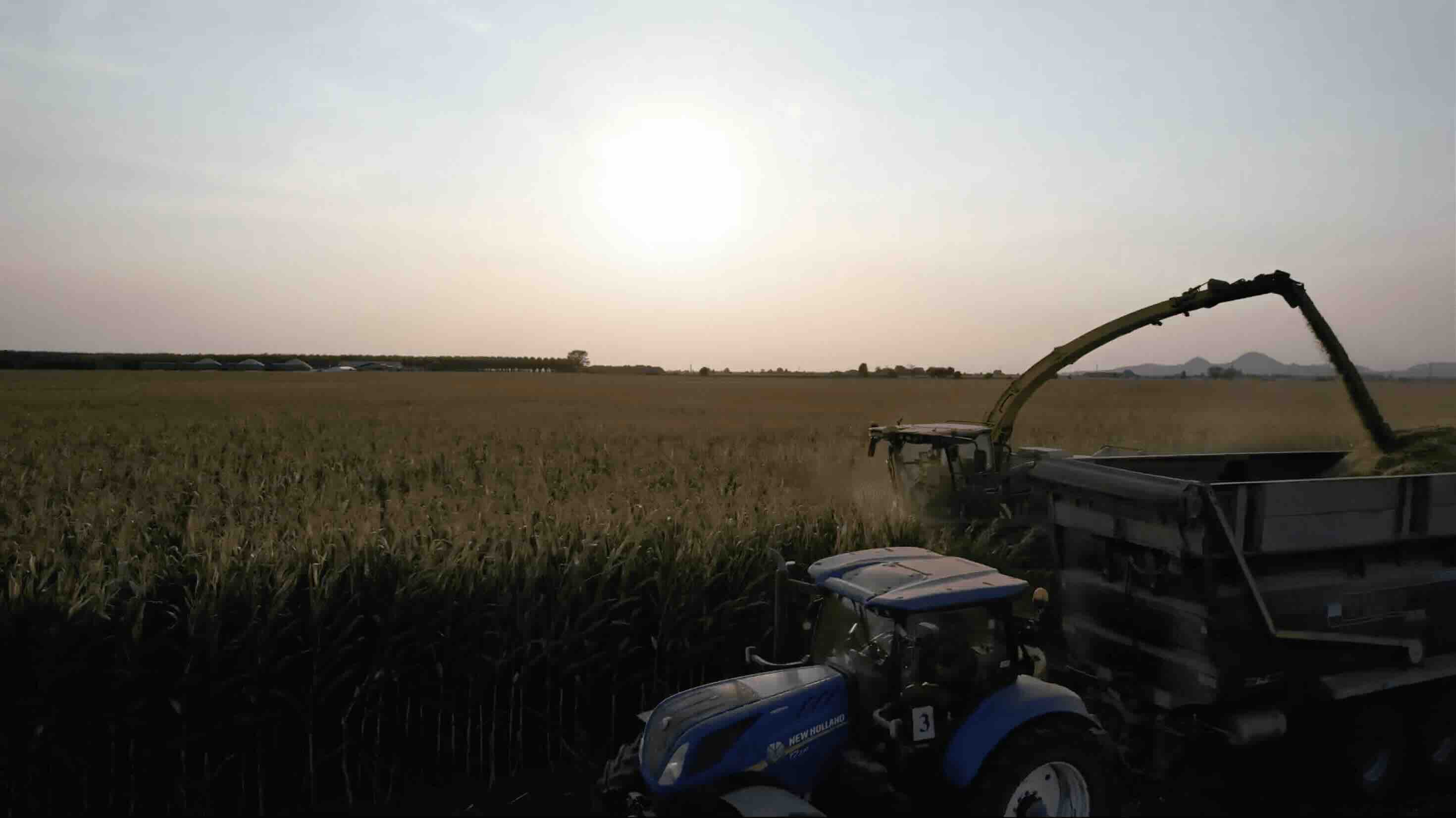 I mezzi Agrienergy al lavoro